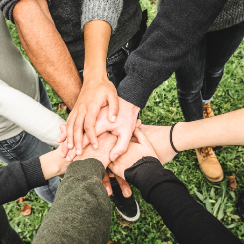 January: Potheads With Purpose