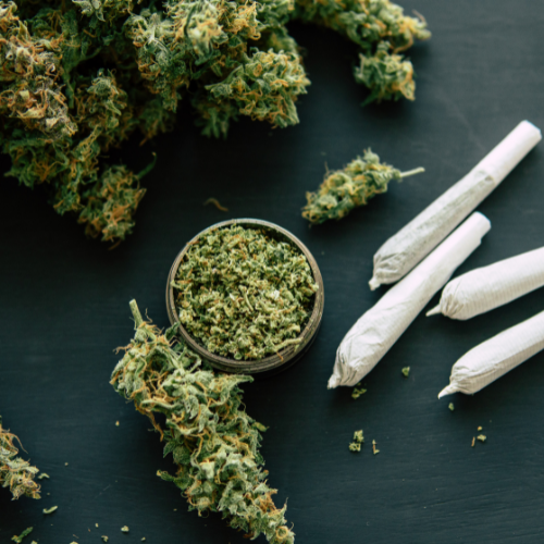 Cannabis