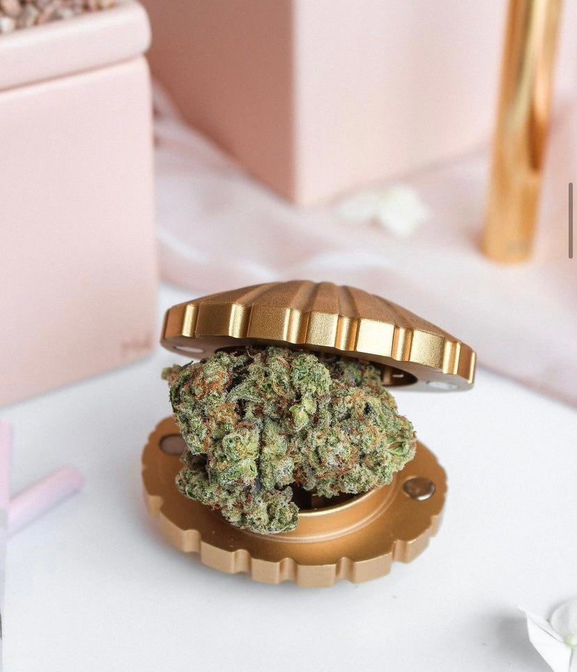 Miss Weed Stay Golden Seashell Weed Grinder